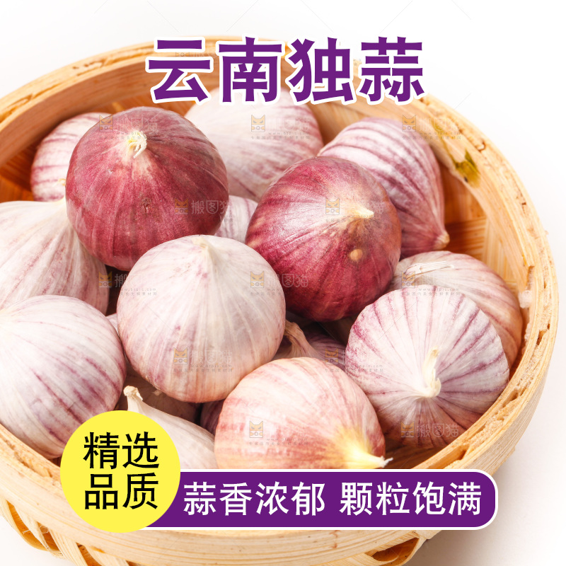 白底上放着一筐独蒜