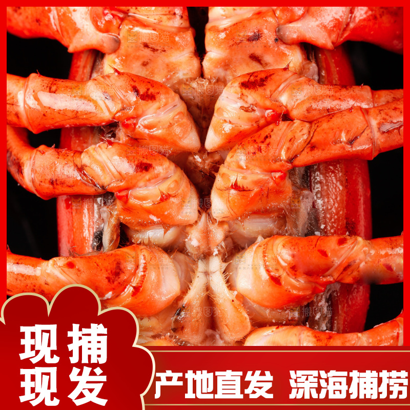 黑底上放着波士顿龙虾