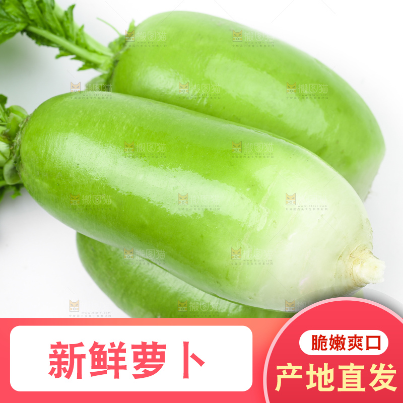 白底上放着青萝卜