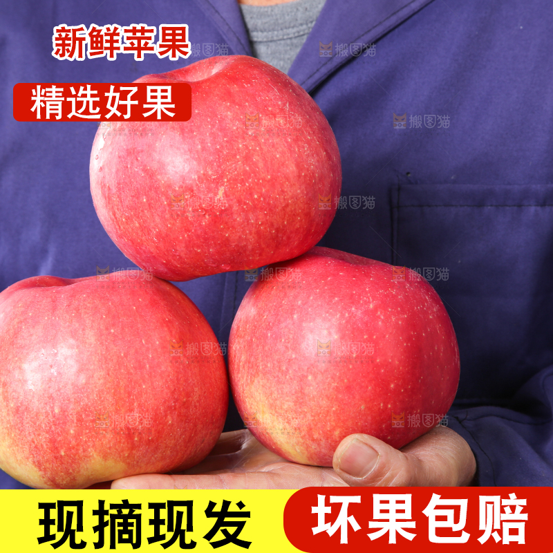 手里拿着山东红富士