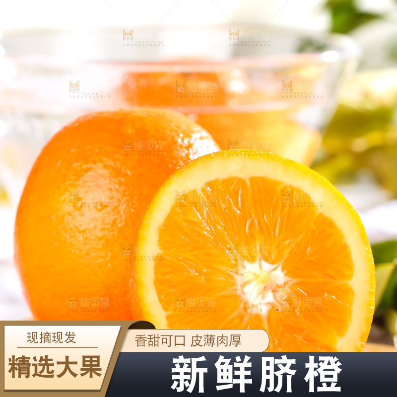 黄板子上的冰糖橙