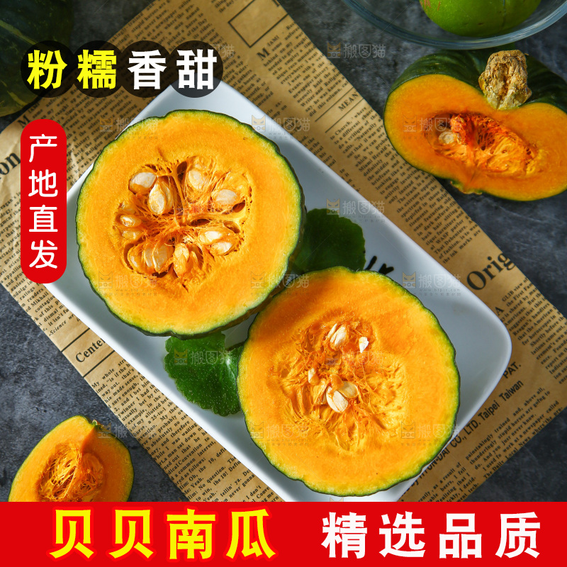 石板上的真贝贝南瓜