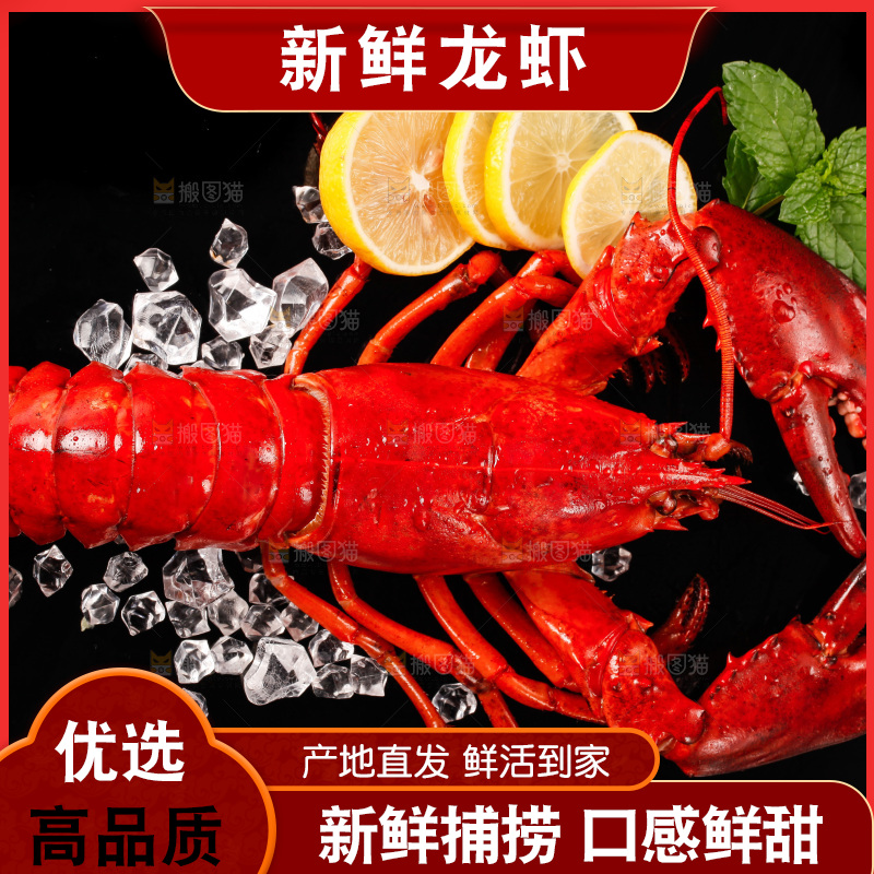 黑底上放着波士顿大龙虾