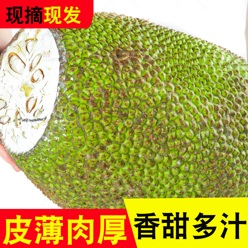 手里抱着新鲜菠萝蜜