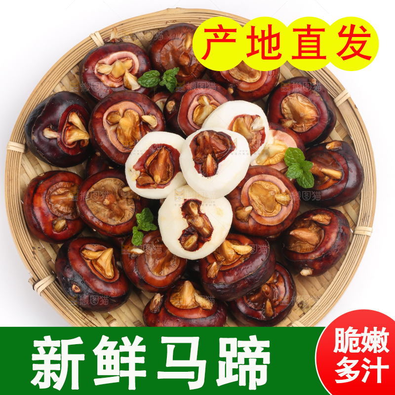 篮子里的荔浦马蹄
