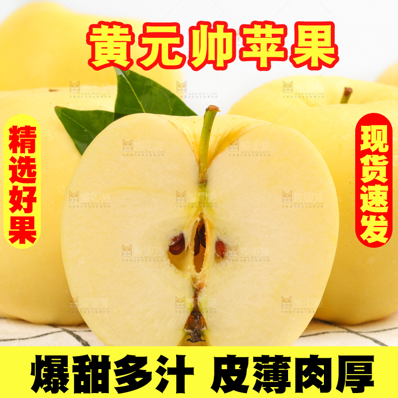 白格子底上的烟台黄金帅