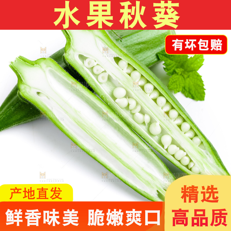 白底上的新鲜秋葵
