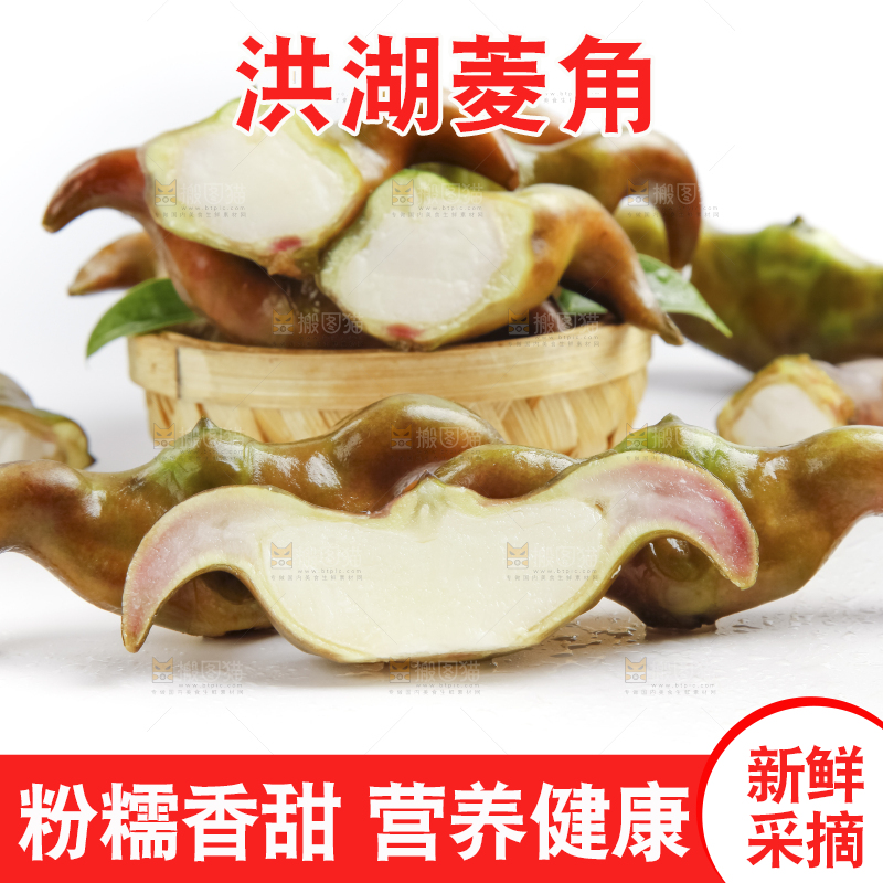 白底上的菱角