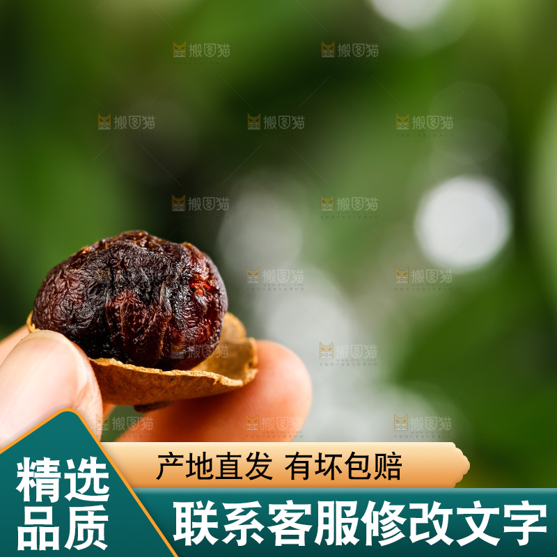 手拿去壳的桂圆
