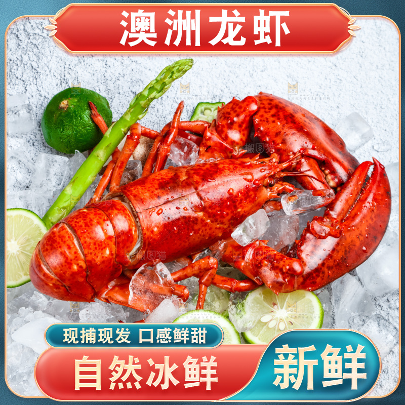 石板上的波士顿大龙虾