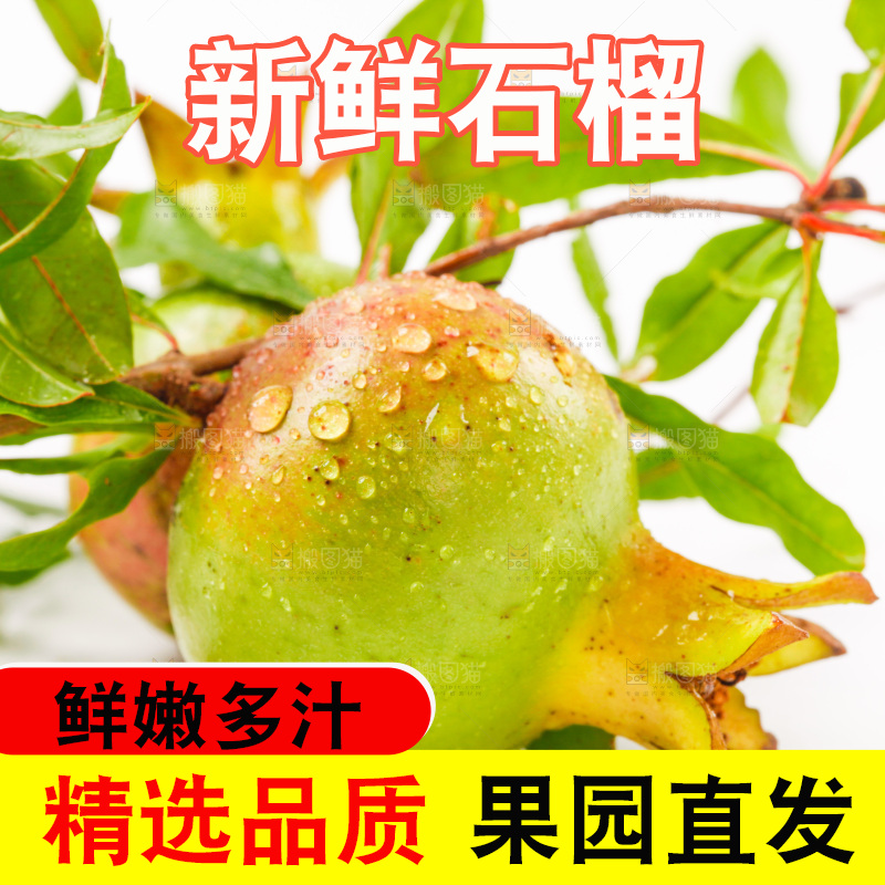 白底上的新鲜石榴