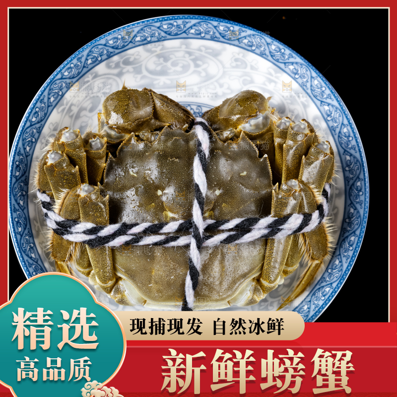黑底上的鲜活螃蟹