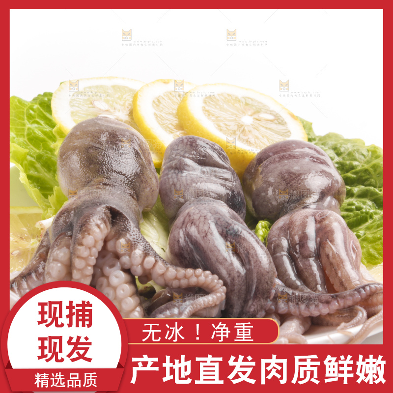 盘子里的大连章鱼