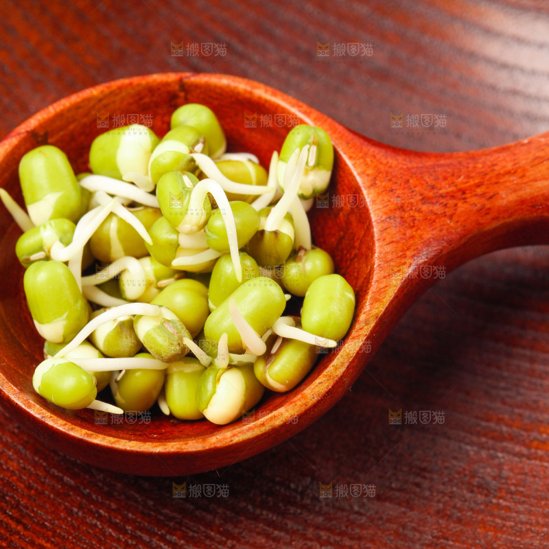 勺子里装着绿豆芽