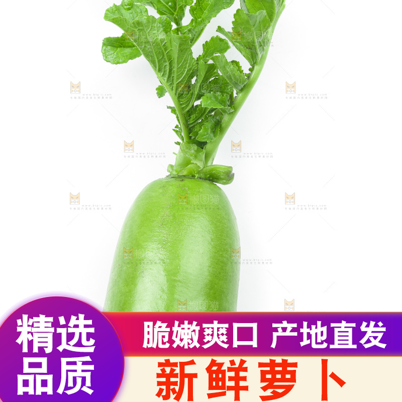 白底上放着青萝卜