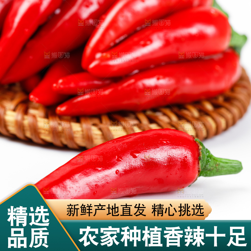 白底上摆放着广西小米椒