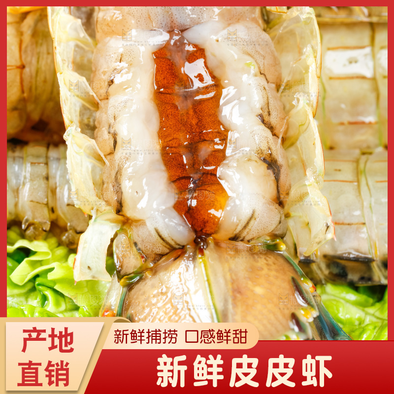 黑底上摆放着舟山皮皮虾