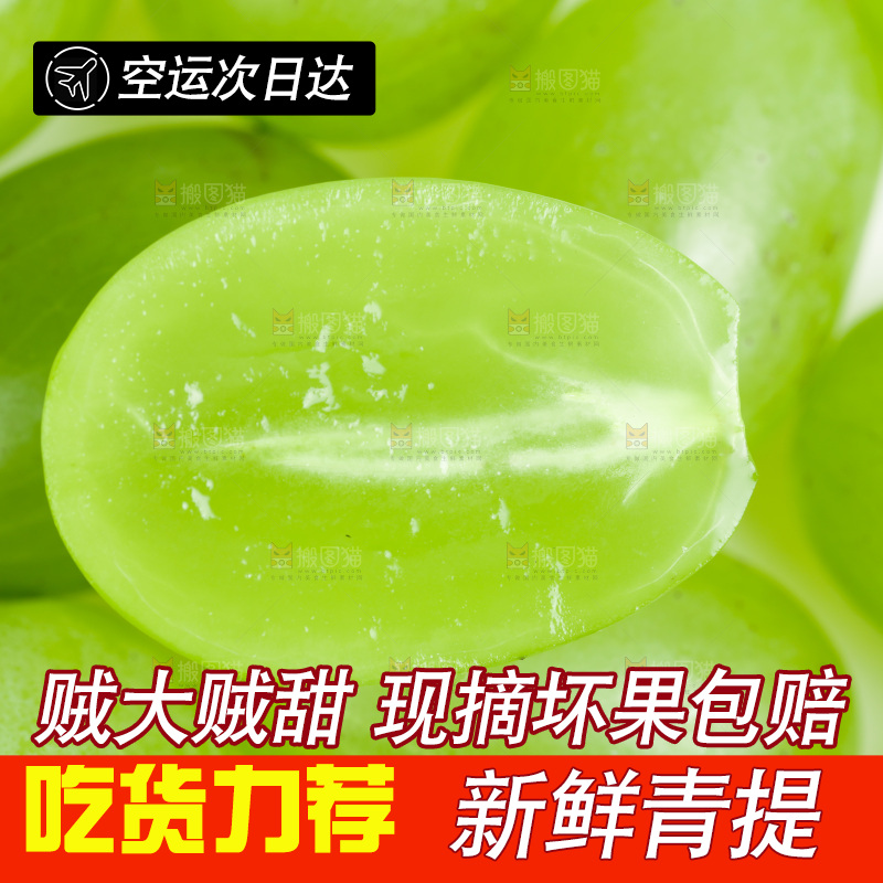 新鲜青提放在白底上