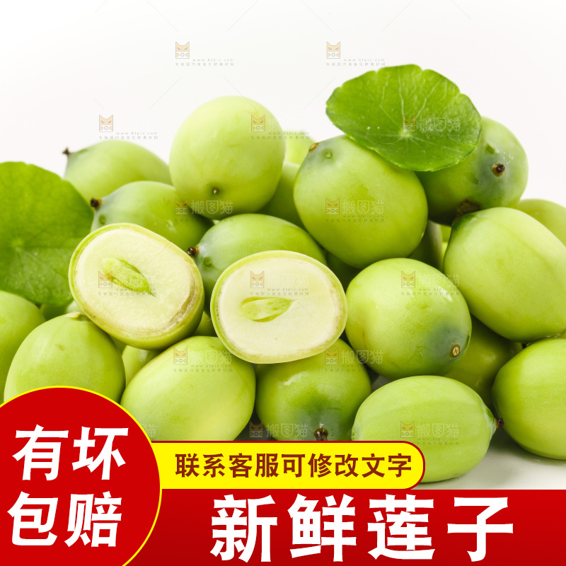 白底上放着湖北新鲜嫩莲子