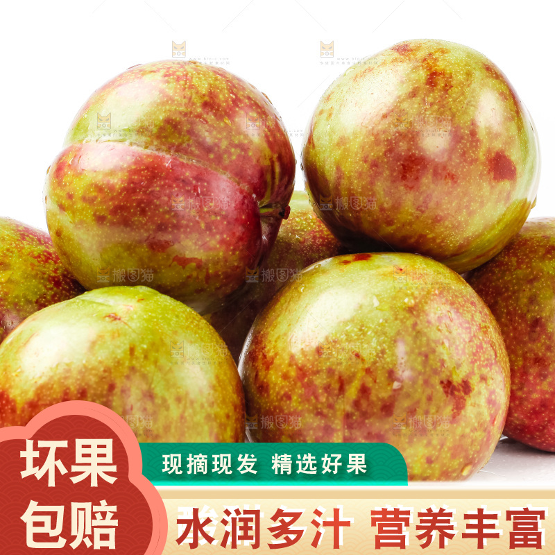 白底上的三华李