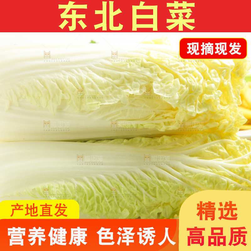 盘子里装着白菜