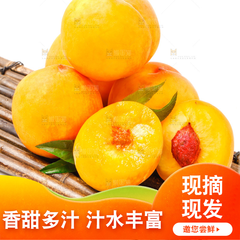 浅底上的山东黄桃