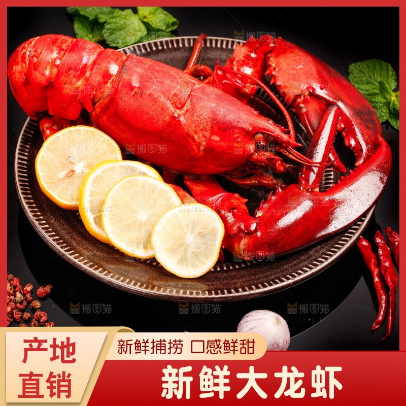 黑底上放着波士顿大龙虾