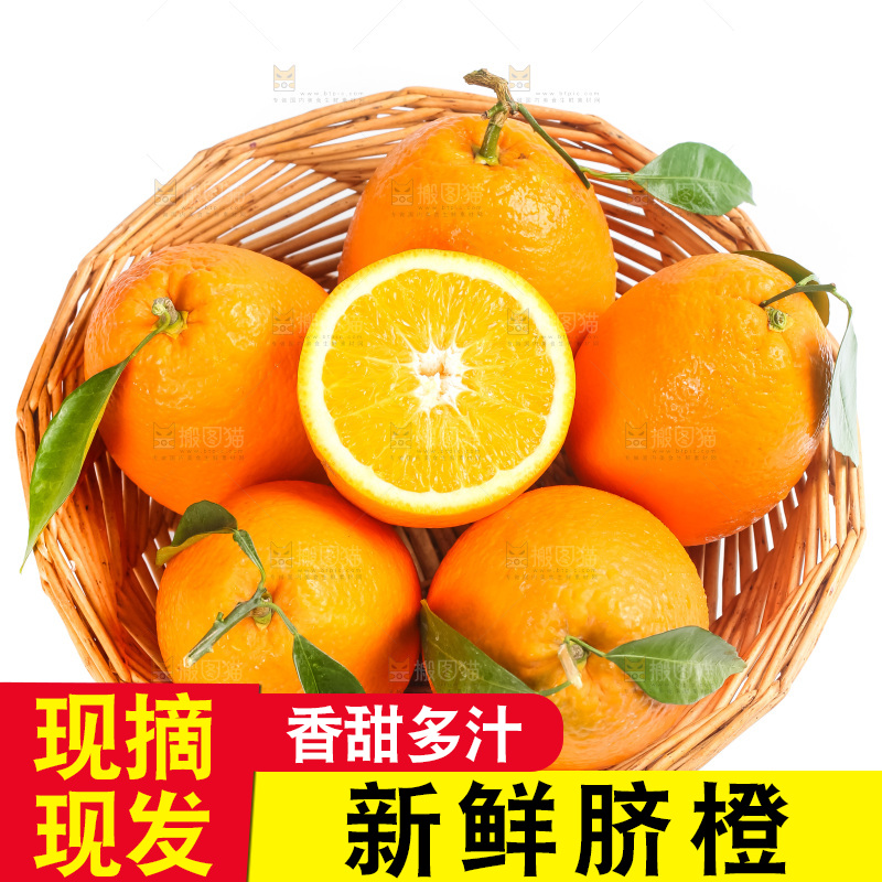 篮子里装着奉节脐橙