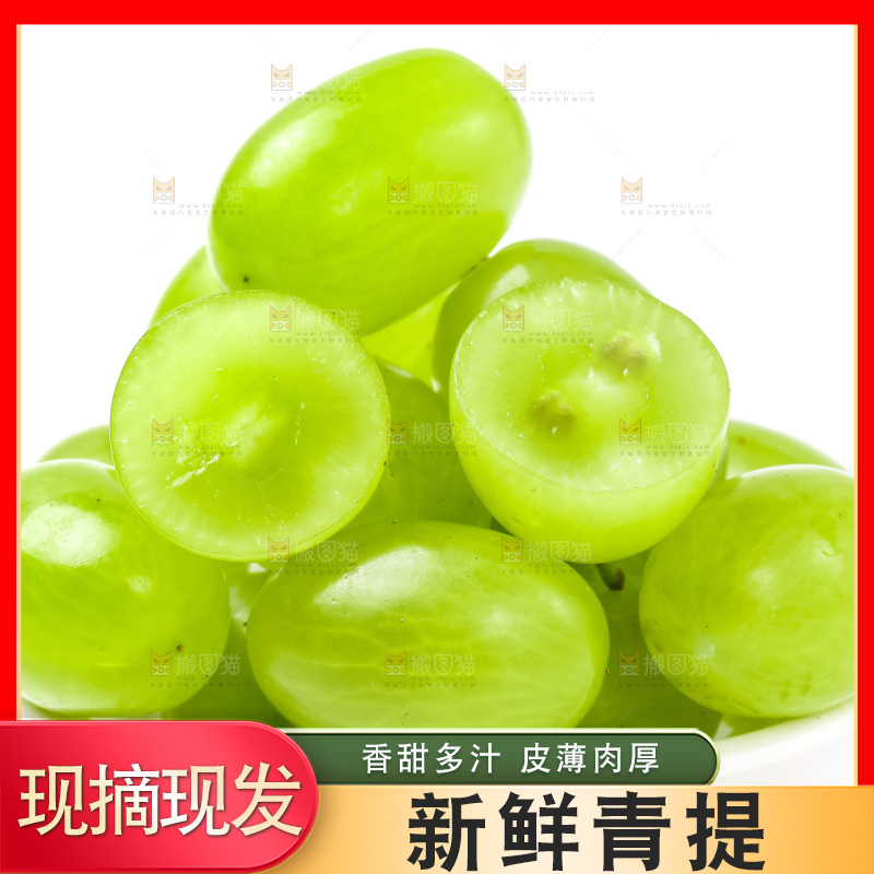 白底上的青提
