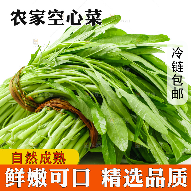 白底上放着新鲜空心菜