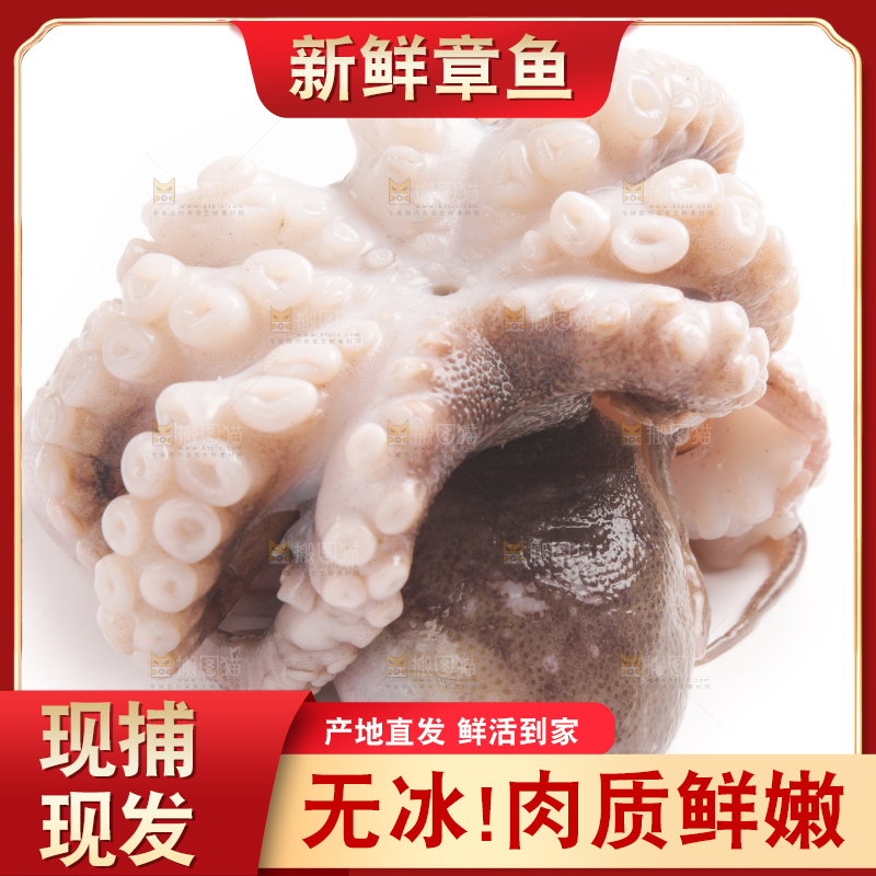 盘子里的大连章鱼