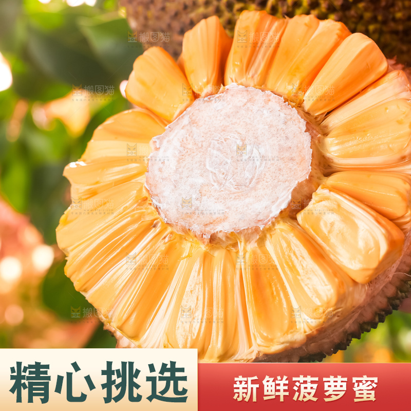 浅底上的越南红心菠萝蜜