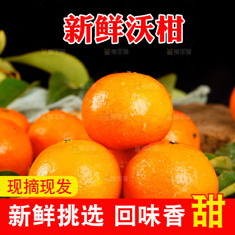 竹底上的四川沃柑