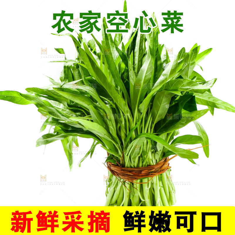 白底上放着新鲜空心菜