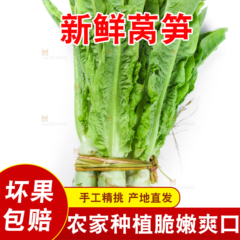 白底上的莴笋