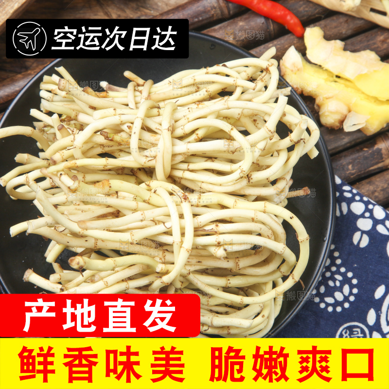竹底上的鱼腥草