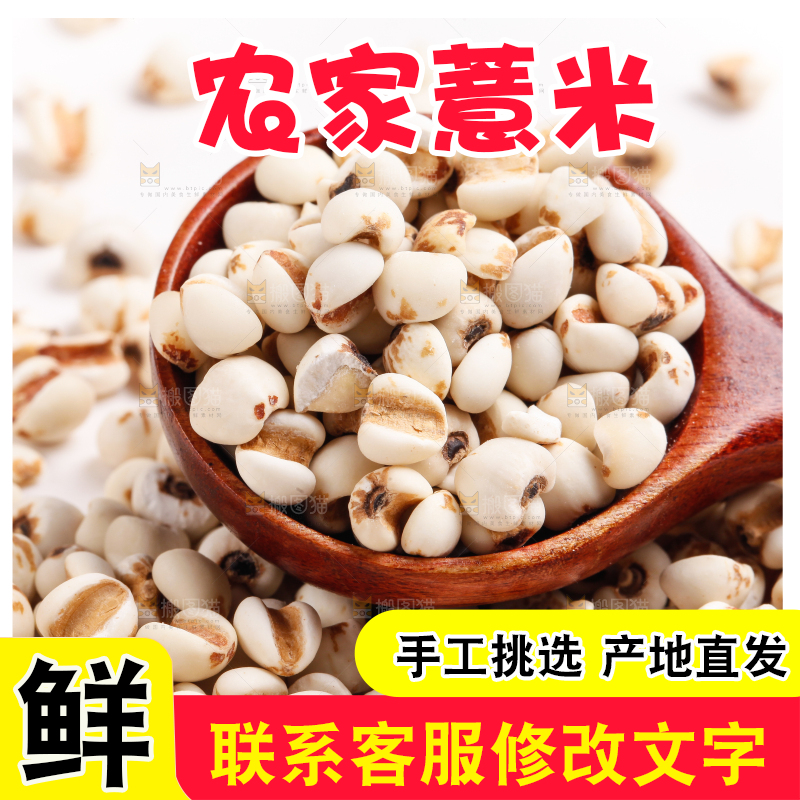 勺子里装着薏米