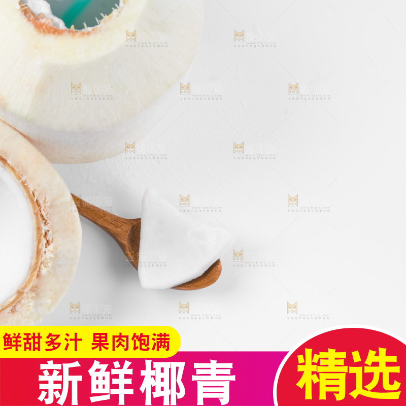 白底上青椰子