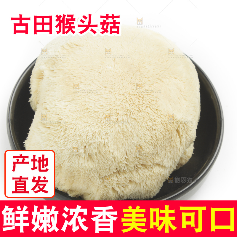 盘子里装着新鲜猴头菇