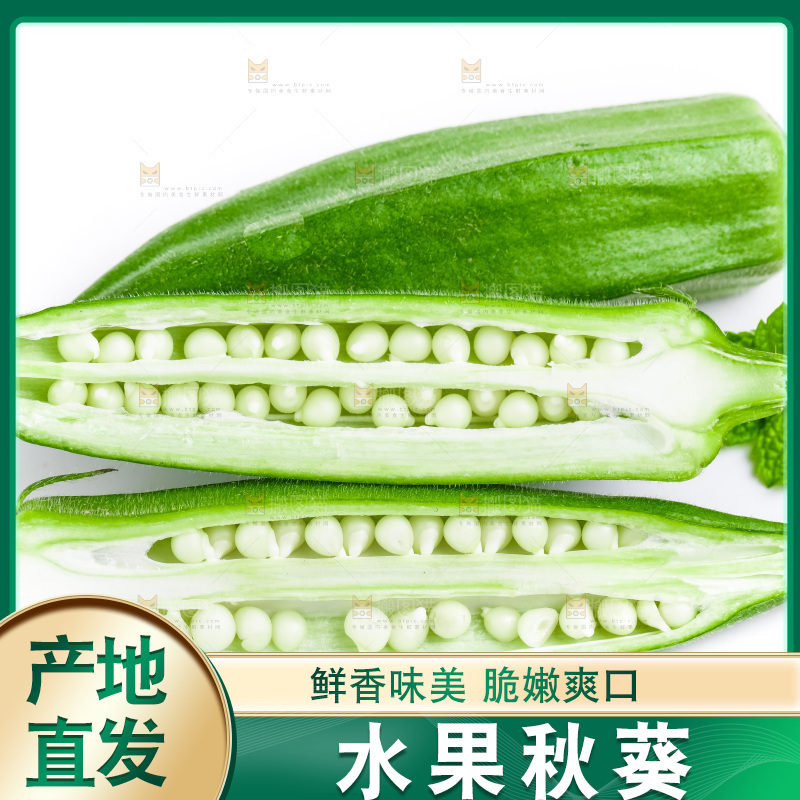 白底上的新鲜秋葵