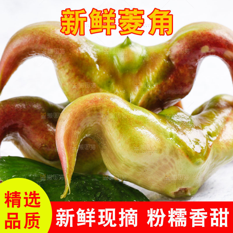 白底上的菱角