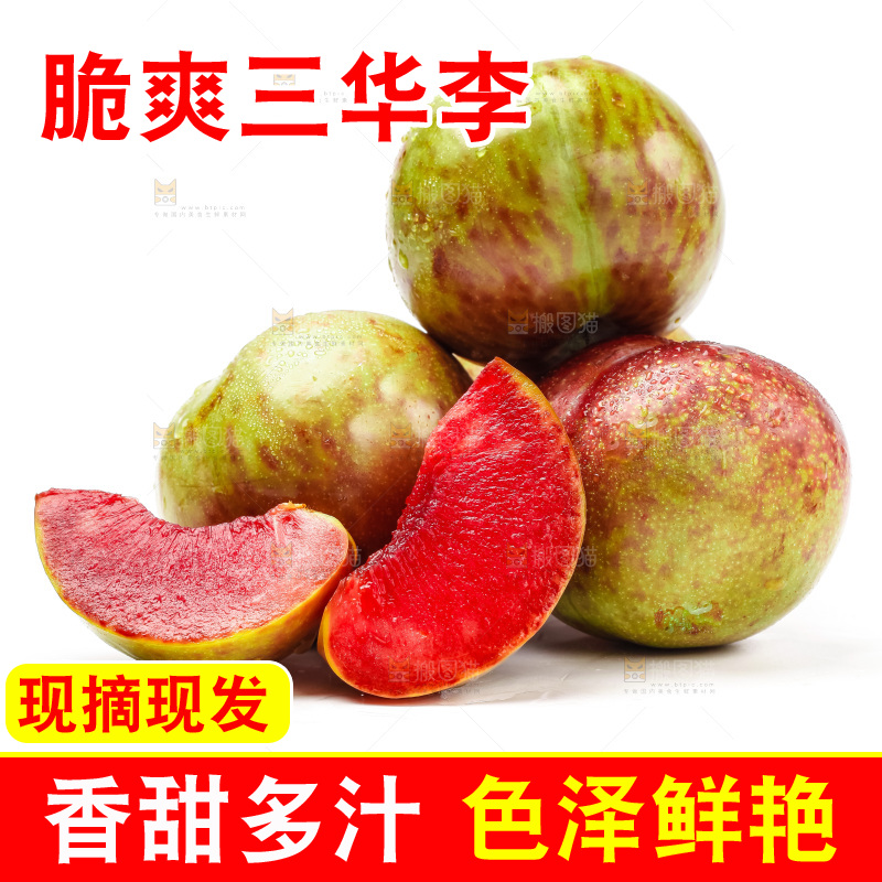 白底上的三华李
