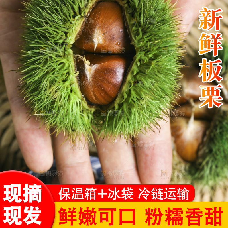 手里拿着新鲜栗子