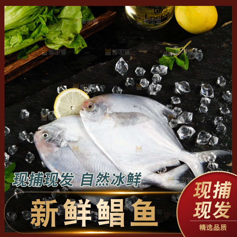 深底上放着银鲳鱼