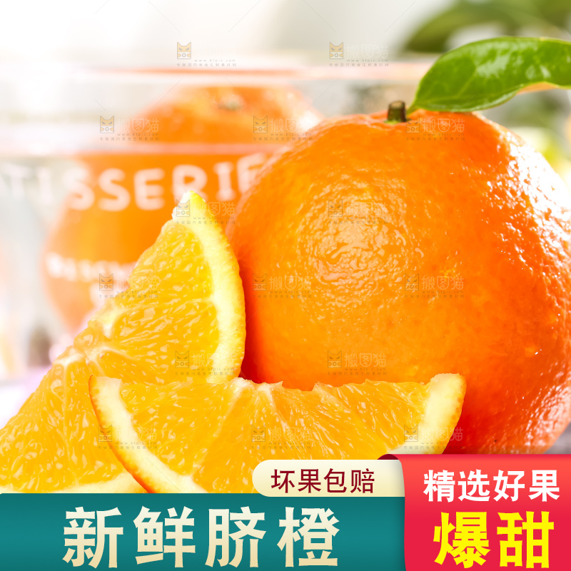 黄板子上的冰糖橙