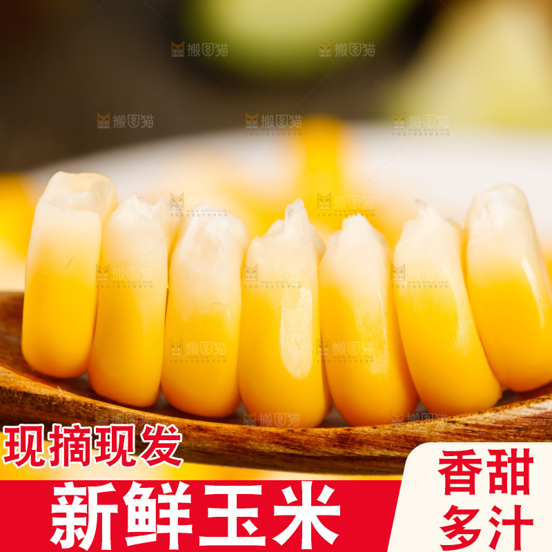 深底上的东北玉米