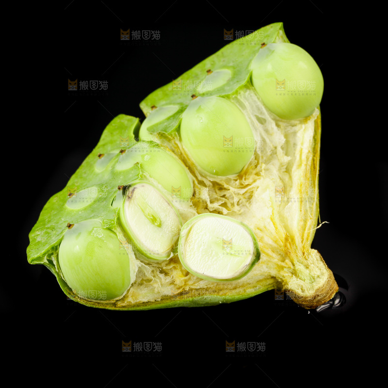 黑底上的水果莲蓬