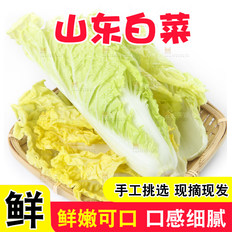 篮子里装着白菜