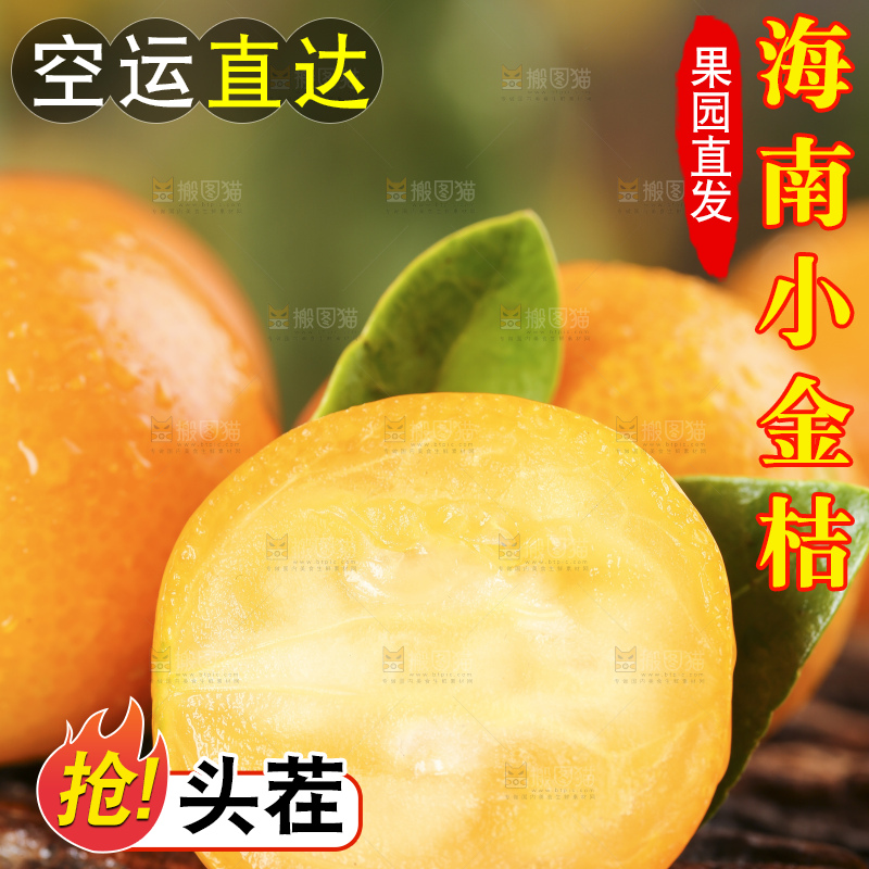 木底上放着新鲜金钱桔