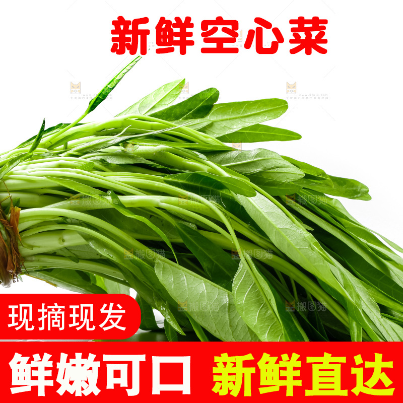 白底上放着新鲜空心菜